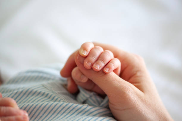 Bebés