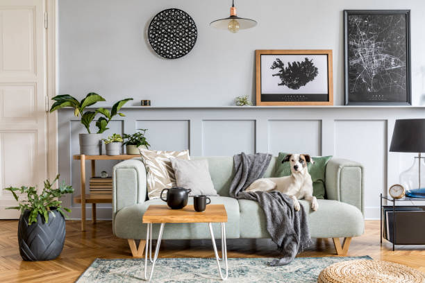 Hogar y Decoración